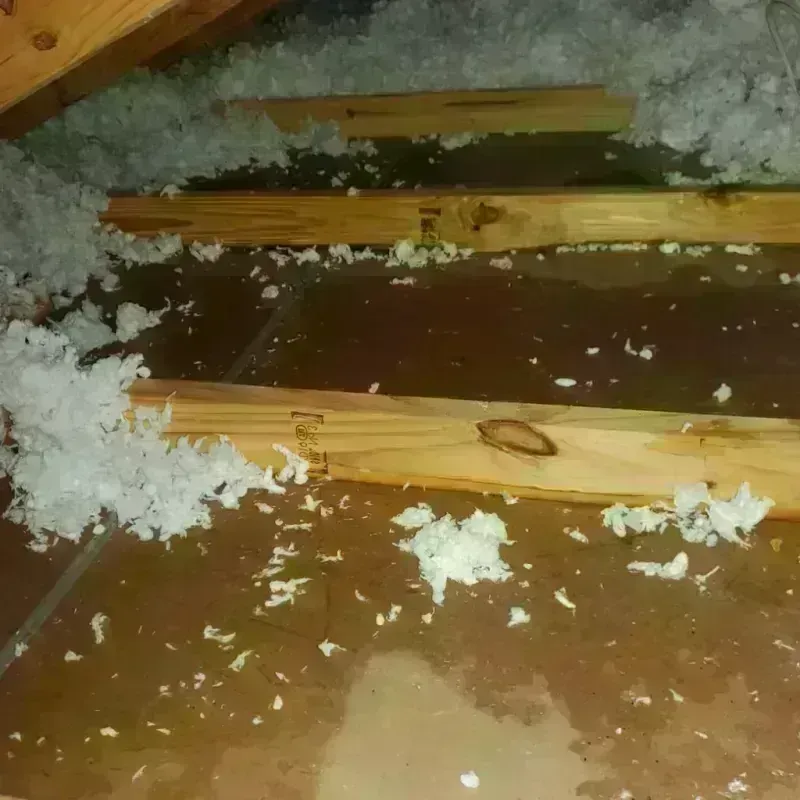 Attic Water Damage in Fulton County, IN