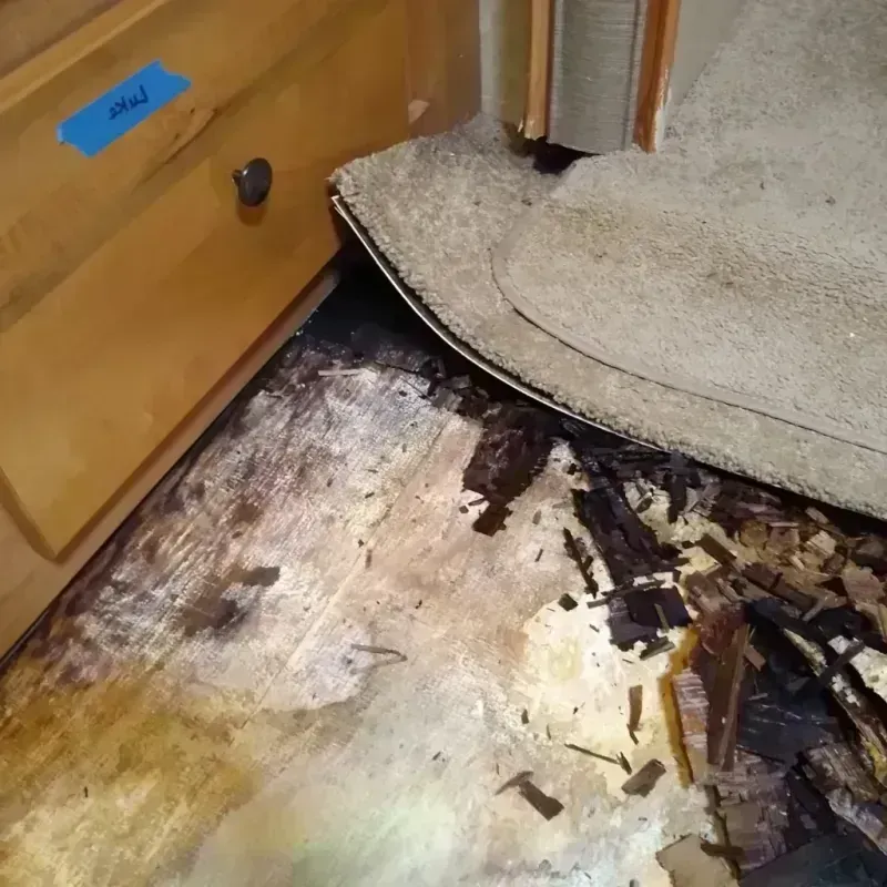 Wood Floor Water Damage in Fulton County, IN